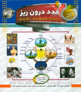 (غدد درون‌ریز)، دستگاه تناسلی و دستگاه ایمنی