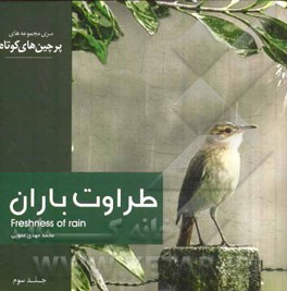 طراوت باران