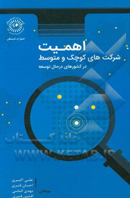 اهمیت شرکت‌های کوچک و متوسط در کشورهای در حال توسعه