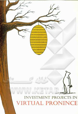 Investment projects in virtual pronince