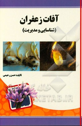 آفات زعفران (شناسایی و مدیریت)