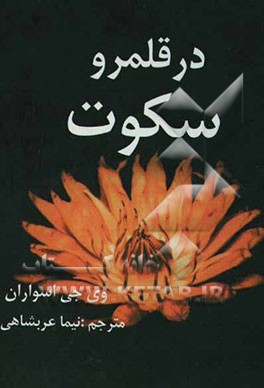 در قلمرو سکوت