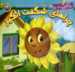 چرا آفتابگردان به طرف خورشید می‌چرخد؟