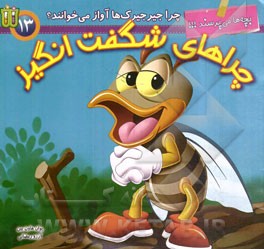 چرا جغدها شب‌ها به شکار می‌روند؟