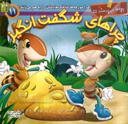 چرا مورچه‌ها شاخک‌هایشان را به هم می‌زنند؟