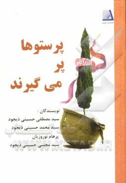 پرستوها پر می‌گیرند