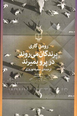 پرندگان می‌روند در پرو بمیرند