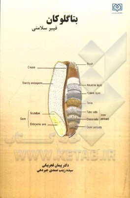 بتاگلوکان فیبر سلامتی