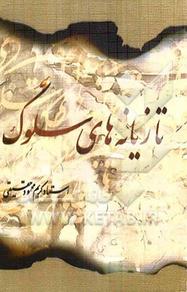 تازیانه‌های سلوک