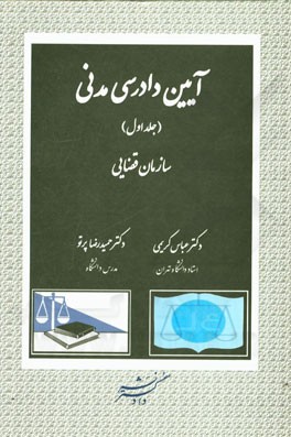 آیین دادرسی مدنی: سازمان قضایی