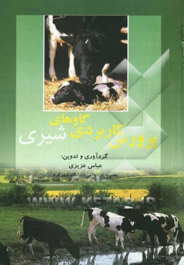 پرورش کاربردی گاوهای شیری