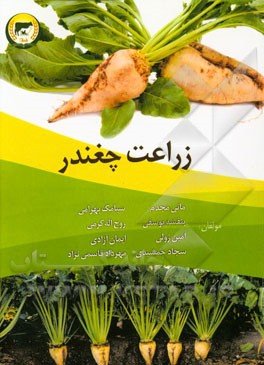 زراعت چغندر