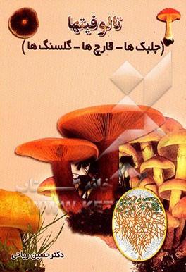 تالوفیت‌ها