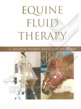 Equine fluid therapy