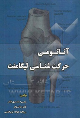 آناتومی حرکت‌شناسی لیگامنت