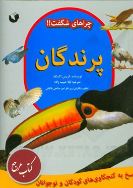 پرندگان: پاسخ به کنجکاوی‌های کودکان و نوجوانان