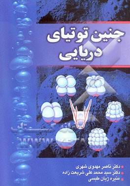 جنین توتیای دریایی