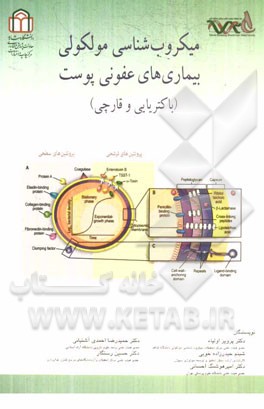 میکروب‌شناسی مولکولی بیماری‌های عفونی پوست (باکتریایی و قارچی)