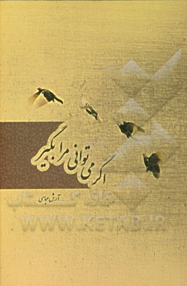 اگر می‌توانی مرا بگیر