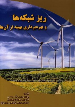 ریزشبکه‌ها و بهره‌برداری بهینه از آن‌ها