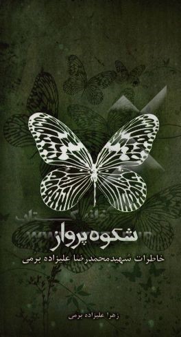 شکوه پرواز: خاطرات شهید محمدرضا علیزاده برمی