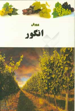 پرورش انگور