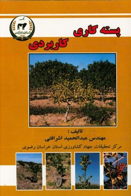 پسته‌کاری کاربردی: چالش‌ها و راهکارها