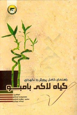 راهنمای کامل پرورش و نگهداری گیاه لاکی بامبو