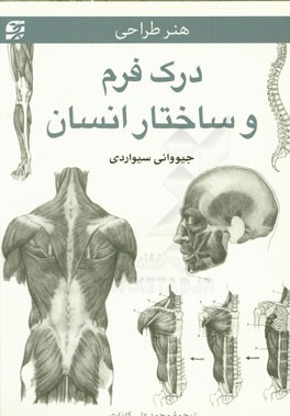 درک فرم و ساختار انسان