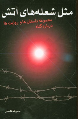 مثل شعله‌های آتش: مجموعه داستان‌ها و روایت‌ها درباره گناه