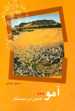 آمو، هامون در سیستان