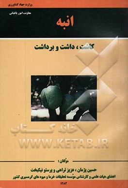 انبه (کاشت، داشت و برداشت)