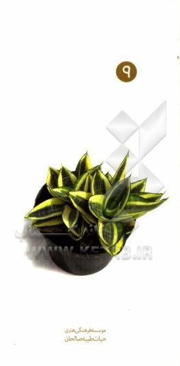 آداب آپارتمان‌نشینی