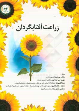 زراعت آفتابگردان