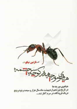 هیاهوی مورچه‌ها در کوچه سرچشمه