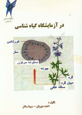 در آزمایشگاه گیاه‌شناسی