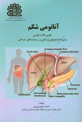 آناتومی شکم (همراه با نکات بالینی)