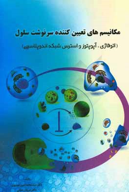 مکانیسم‌های تعیین‌کننده سرنوشت سلول (اتوفازی، آپوپتوز و استرس شبکه اندوپلاسمی)