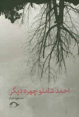 احمد شاملو - چهره‌ی دیگر