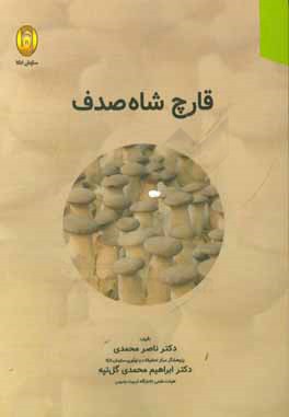 قارچ شاه صدف