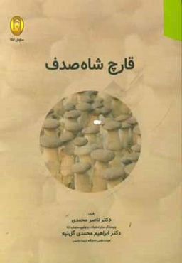 قارچ شاه صدف