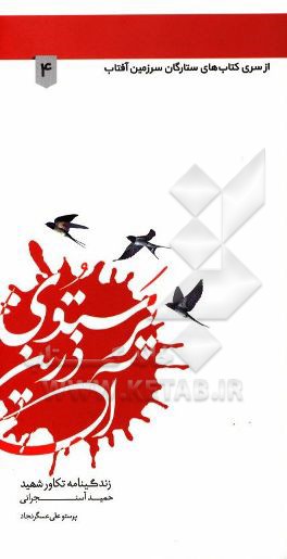 پرستوی آذرین