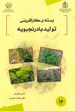 بسته کارآفرینی تولید بادرنجبویه