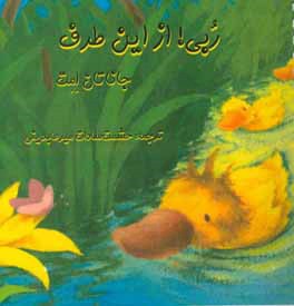 ربی! از این طرف