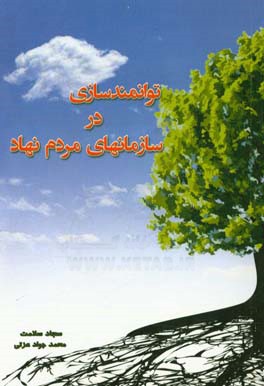 توانمندسازی در سازمان‌های مردم‌نهاد (سمن)