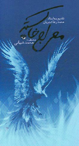 معراج خاکستر