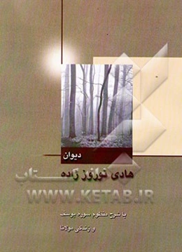 دیوان هادی نوروززاده