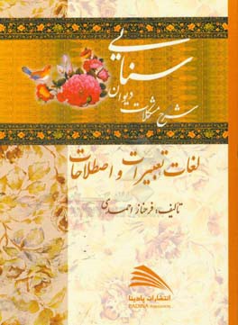 شرح مشکلات دیوان سنایی: (لغات، تعبیرات و اصطلاحات)