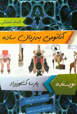 آناتومی به زبان ساده