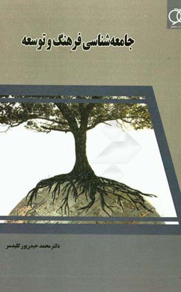 جامعه‌شناسی فرهنگ و توسعه